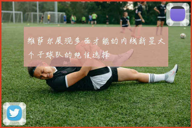 维萨尔展现多面才能的内线新星大个子球队的绝佳选择