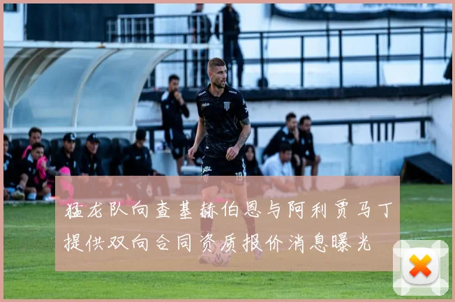猛龙队向查基赫伯恩与阿利贾马丁提供双向合同资质报价消息曝光