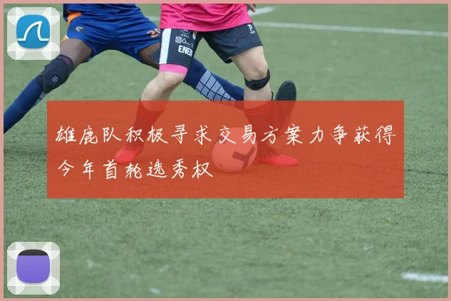雄鹿队积极寻求交易方案力争获得今年首轮选秀权