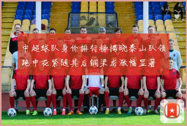 中超球队身价排行榜揭晓泰山队领跑申花紧随其后铜梁龙涨幅显著